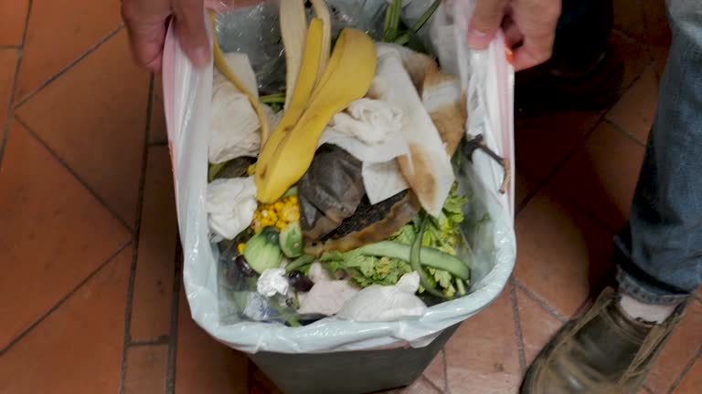 Best Yard Waste Removal  in Burley, WA